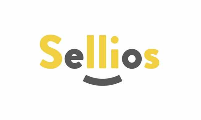 Sellios-obzor-topovogo-konstruktora-internet-magazinov